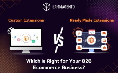 Custom vs Ready-Made Magento Extensions: Which Is Right for B2B Ecommerce?