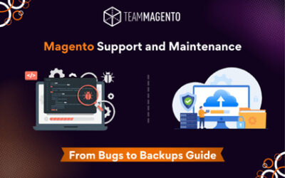 Magento Support and Maintenance: From Bugs to Backups Guide
